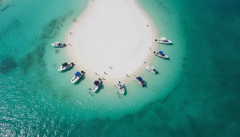 Pontoon boat anchored on a sandbar near Shell Key and Bunces Pass off Gulfport, Florida with Tampa Bay Pontoon Rentals