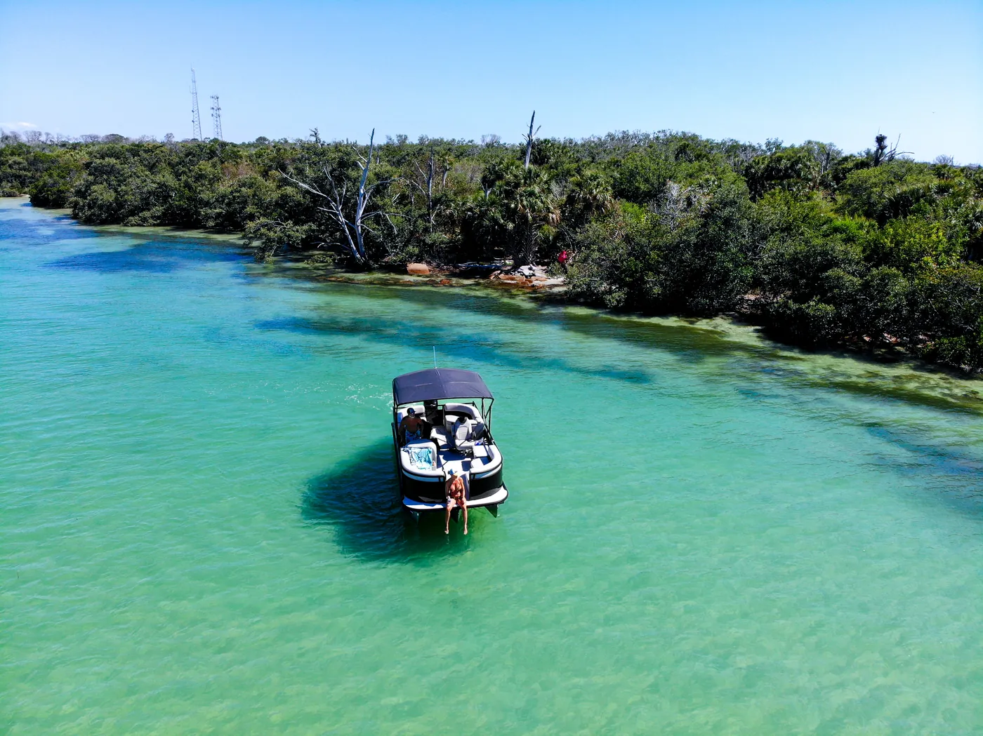 Aerial view of the pontoon boat close to a mangrove shoreline on Boca Ciega Bay