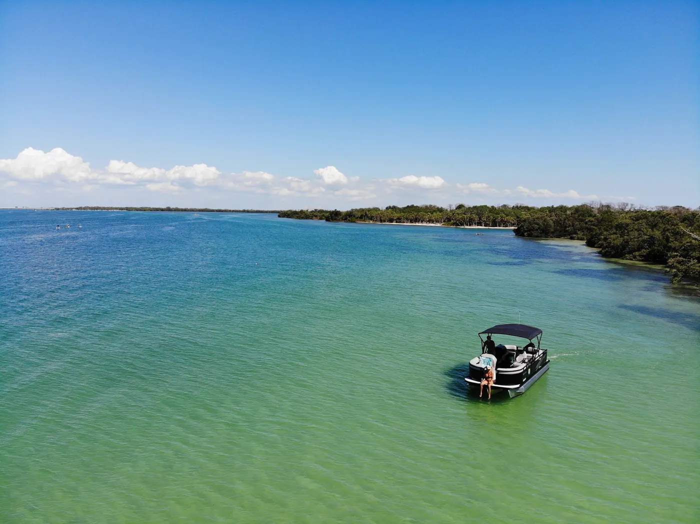 Aerial view of the pontoon anchored in clear green water off a mangrove shoreline